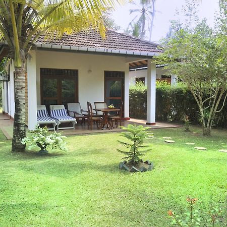 Hotel Dalmanuta Gardens Dharga Town Zewnętrze zdjęcie
